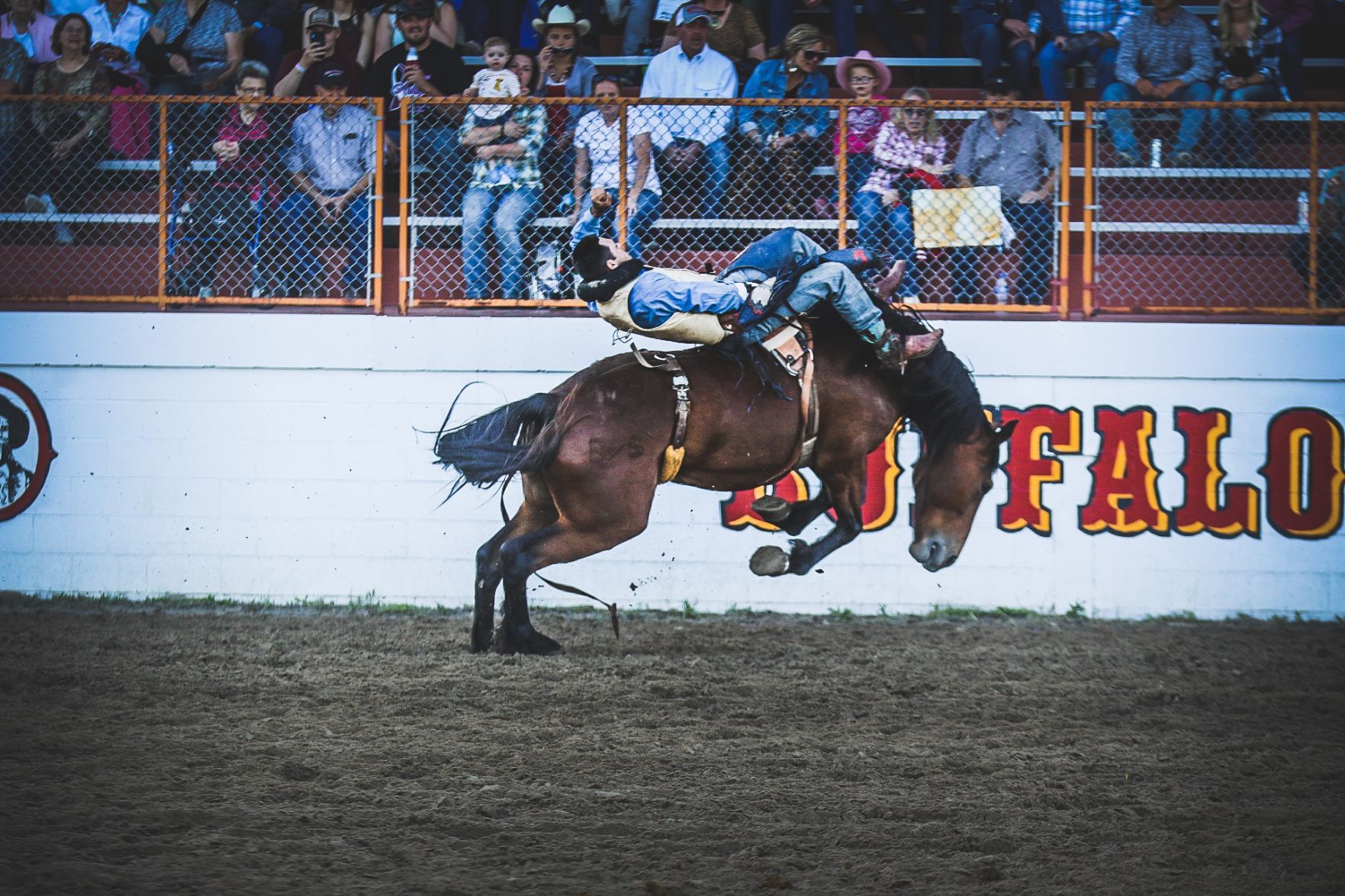 Buffalo Bill Rodeo Night 1 (4).jpg